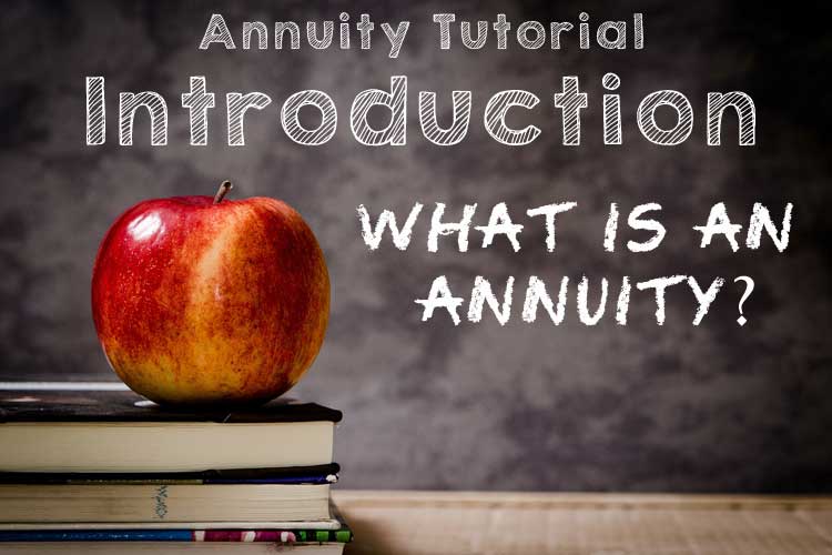 introduction what is an annuity