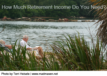 how much retirement income do you need