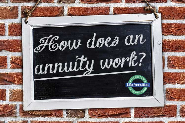 How does an annuity work?