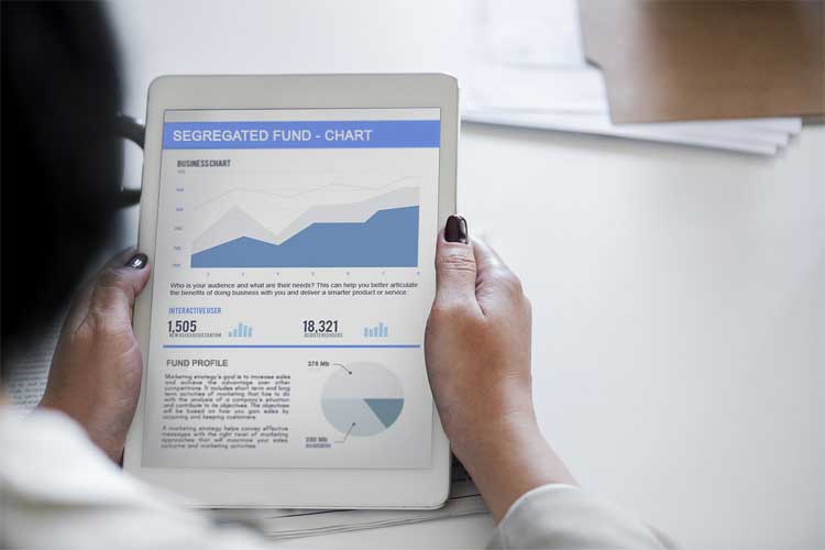 segregated fund chart