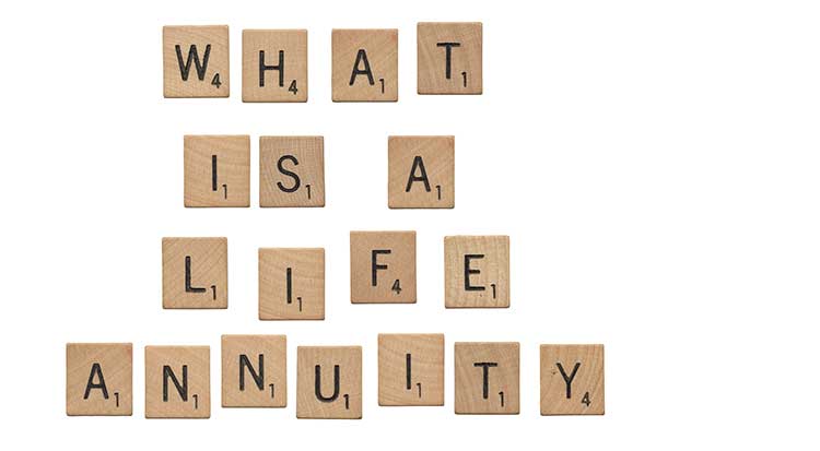 what is a life annuity